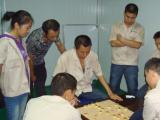 2011年棋类比赛